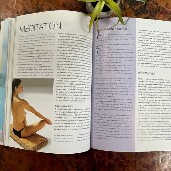 MIND . BODY . SPIRIT for Optimum Health & Well-Being - Picture 5 of 6